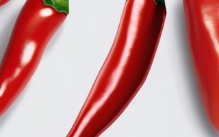 辣椒品种二荆条一般每亩产多少斤？